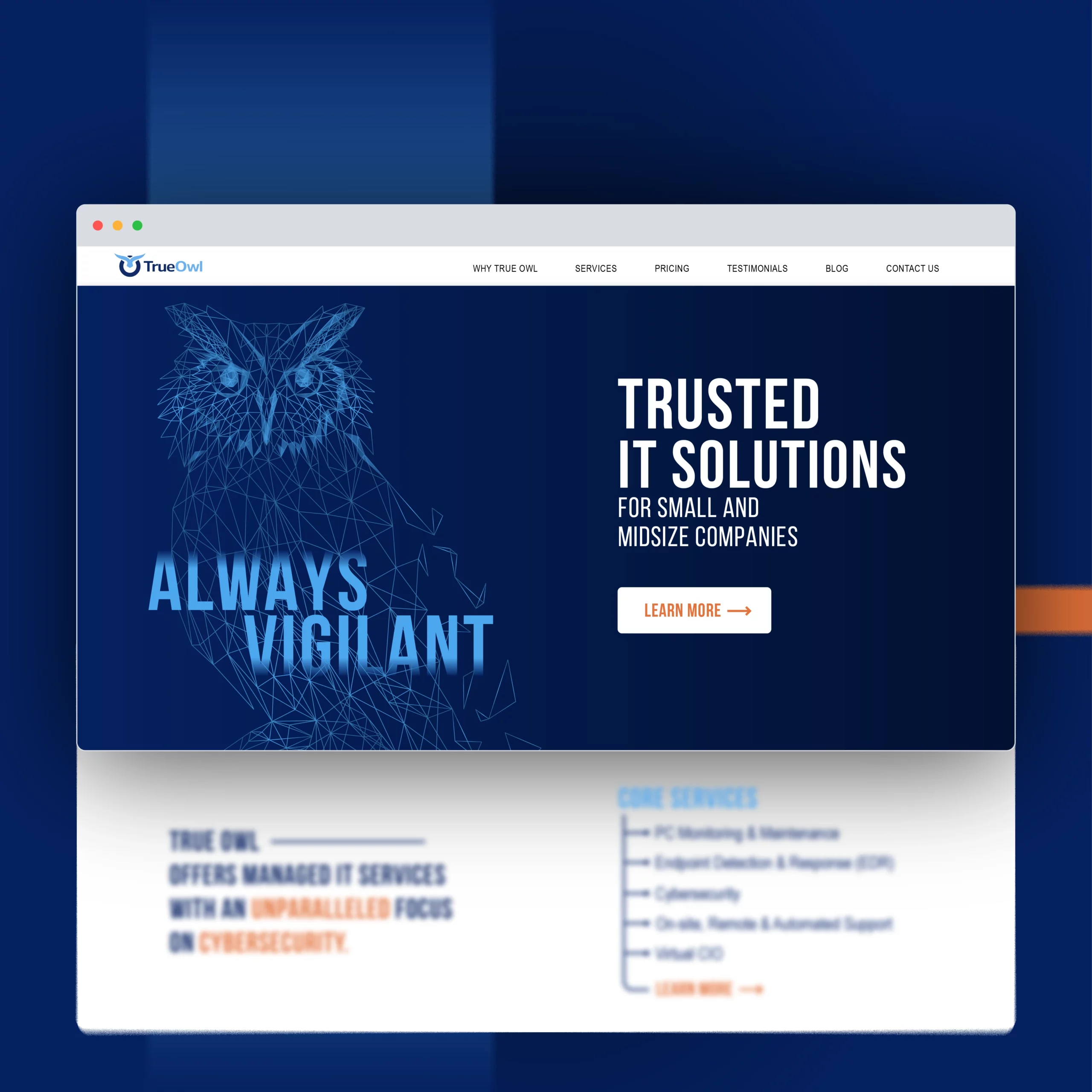  TrueOwl Website Design 